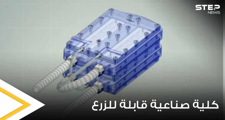 اختراع علمي مذهل.. علماء يبتكرون أول كلية صناعية قابلة للزرع قد تكون طوق النجاة