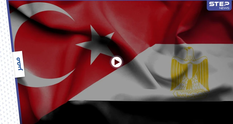 وزير الخارجية المصري: لم يحن الوقت لرفع مستوى العلاقات مع تركيا (فيديو)