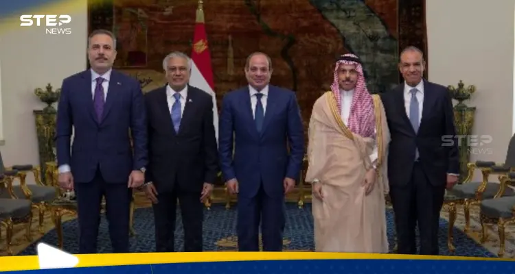 السيسي