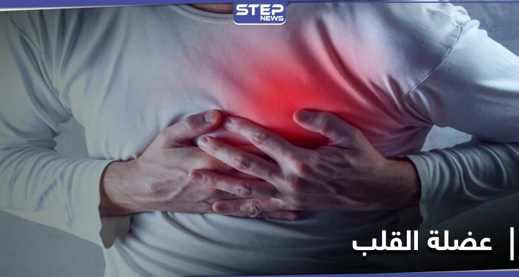 دراسة تحذر... فعل تقوم به يومياً يدمر عضلة القلب