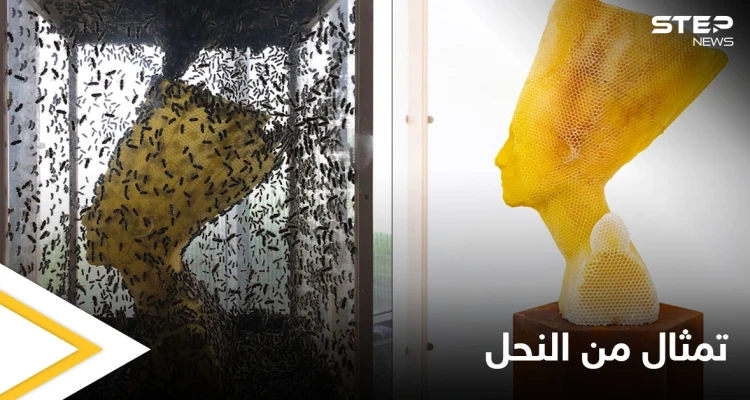 شاهد بالصور|| فنان يستخدم جيشاً من النحل لصناعة منحوتة "الخلود" التي تمثل الملكة نفرتيتي