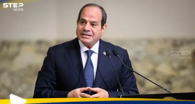 السيسي يحذر من مساعٍ مدبرة لإعادة رسم خريطة الشرق الأوسط ويجدد رفضه لتهجير الفلسطينيين