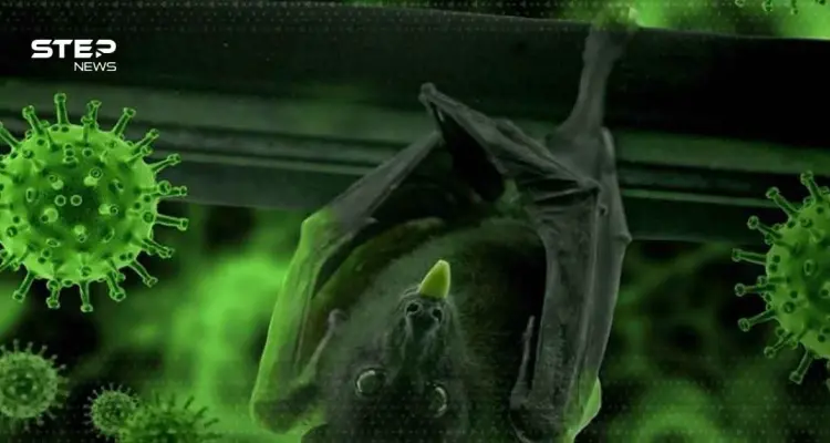 فيروس نيباه مرض بلا لقاح ونسبة وفيات مرتفعة