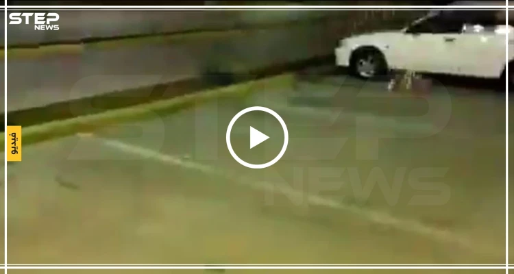 شاهد مخلوق غريب يتجول في السعودية