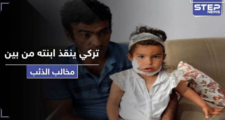 شاهد كيف أنقذ رجل تركي ابنته الصغيرة من بين مخالب ذئب