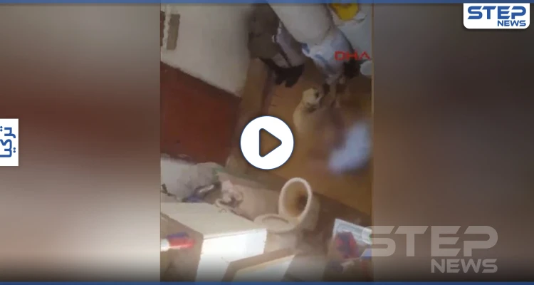 بالفيديو || اغتصاب كلب من قبل مسن تركي في أنطاليا وأطفال الحي يصورونه ويبلغون الشرطة