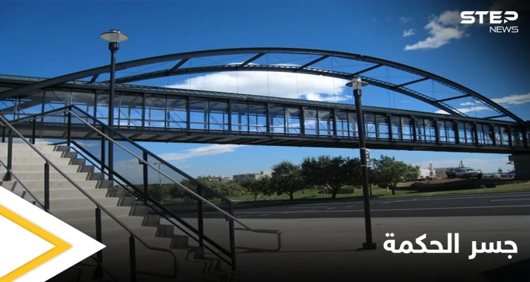 ليكمل طفلها تعليمه... أم تنفق 154 ألف دولار على بناء جسر من حسابها الخاص يوصله للمدرسة بأمان