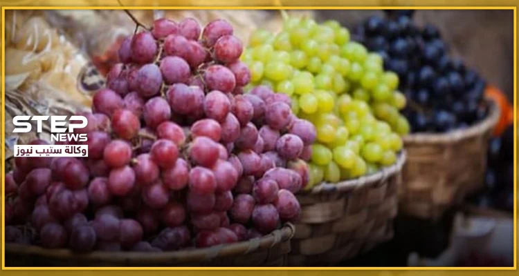 أنواع العنب وفوائده الغذائية المتنوعة وأهميته الصحية
