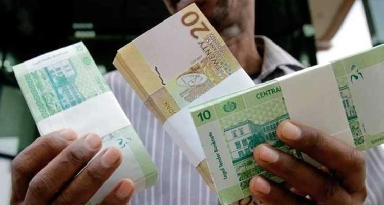 السودان يبدأ تعويماً جزئياً للعملة وتعليمات من البنك المركزي