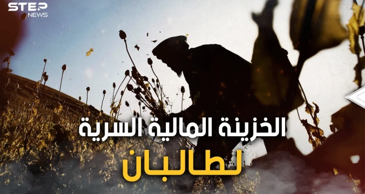 الذهب الأبيض أو النفط الأخضر.. الأفيون تجارة طالبان الرابحة والسلاح الذي تهدد به الغرب