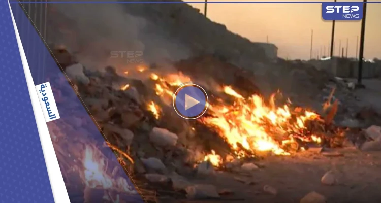 بالفيديو|| بظاهرة غير مألوفة.. الأفاعي والعقارب تهاجم أحد الأحياء بالسعودية وتتسب بحالة هلع بين الأهالي