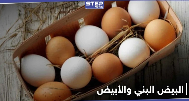 هل تساءلت يوماً عن الفرق بين البيض البني والأبيض.. إليك الإجابة