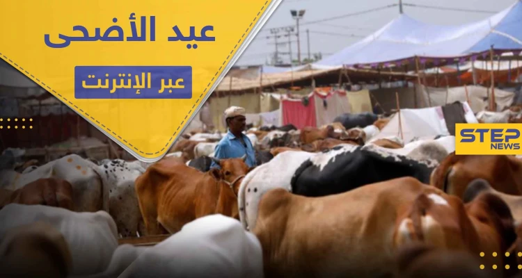 دولة مسلمة تحث مواطنيها على ذبح الأضاحي عبر الإنترنت هذا العيد.. وتبرر موقفها