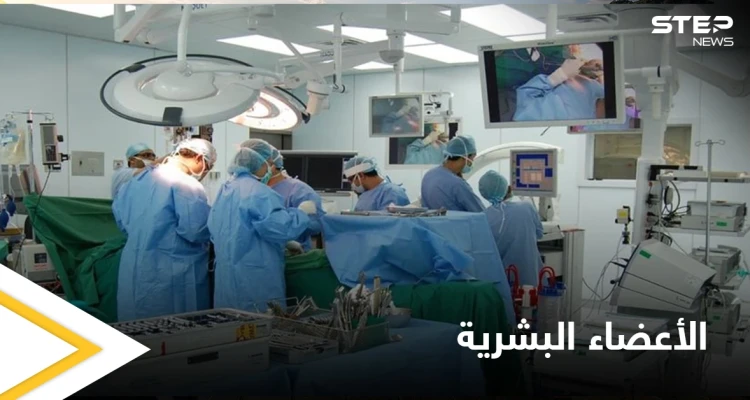 أطباء إسرائيليون يطورون عضواً هجيناً من "الإنسان والخنزير" لحل مشكلة نقص الأعضاء البشرية