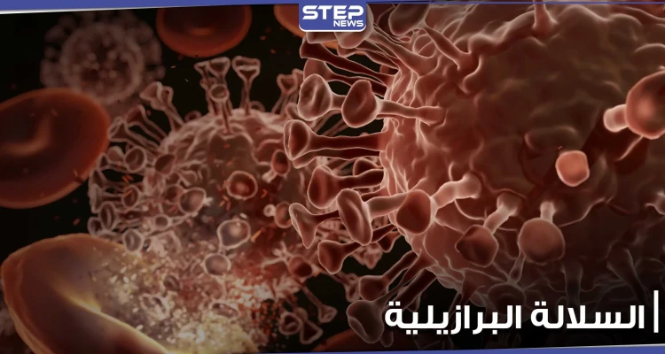 "البرازيل تشكل تهديداً للبشرية".. وفيات كورونا تتجاوز المستويات الطبيعية ومخاوف من انهيار النظام الصحي