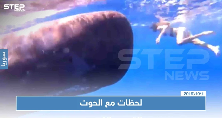 فتاة تسبح أمام الحوت في المحيط الهندي واصفة اللحظة أنها "لاتقدر بثمن"