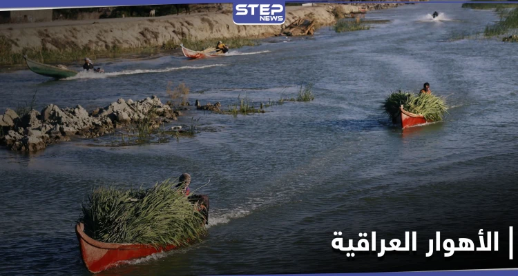 الأهوار العراقية.. نداءات عاجلة من الأمم المتحدة بشأنها وأمريكا تستجيب