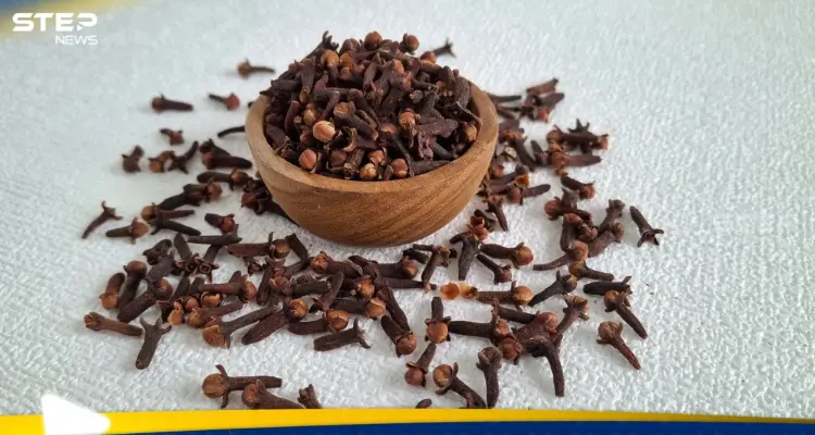 القرنفل.. الحل الطبيعي لتقوية الشعر وكثافته: أخبار