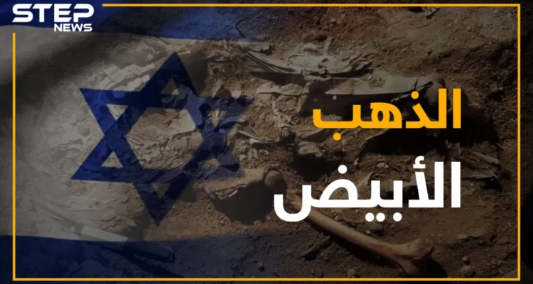 من العام 1982.. ما هو الكنز الذي يبحث عنه النظام في باطن الأرض؟