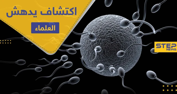 "بويضة المرأة هي التي تختار الحيوان المنوي".. اكتشاف يدهش العلماء