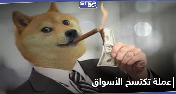 من عملة مشفرة مغمورة إلى اكتساح الأسواق العالمية.. عملة دوجكوين و"التغريدة السّر"!