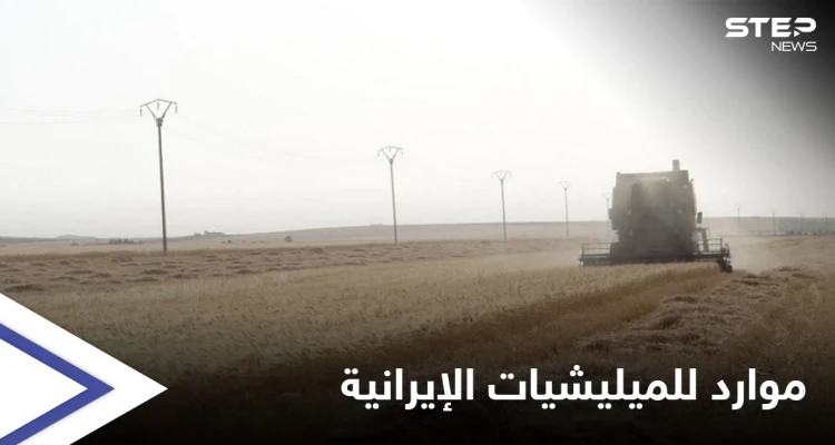 إما القبول أو المصادرة.. ميليشيات إيرانية تفرض على فلاحي دير الزور مقاسمة أرباح محاصيلهم