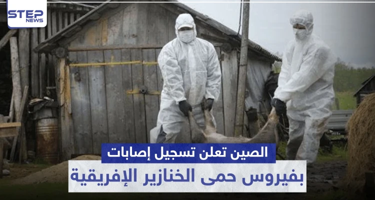 بعد وباء كورونا.. الصين تعلن تسجيل إصابات بفيروس "حمى الخنازير الإفريقية" القاتل