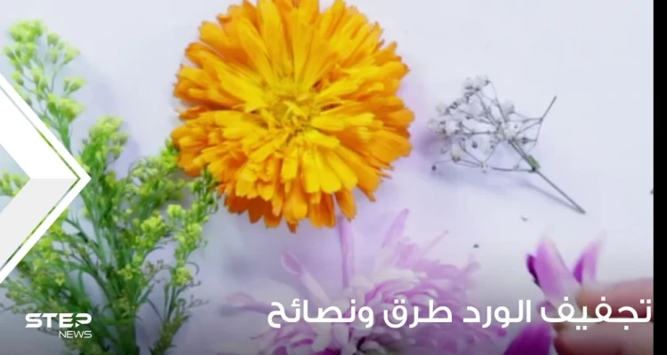 تجفيف الورد طرق ونصائح وبعض الفوائد