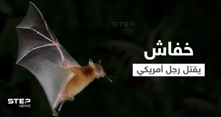 بعد اكتشاف مستعمرة خفافيش في منزله.. رجل أمريكي يقتله داء السعار