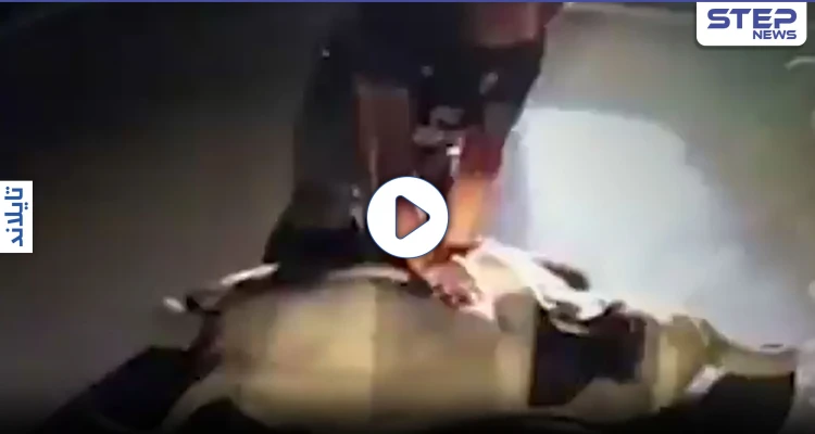 بالفيديو || عامل إنقاذ يُنعش قلب فيل صغير بعد وفاته بحادث في تايلاند