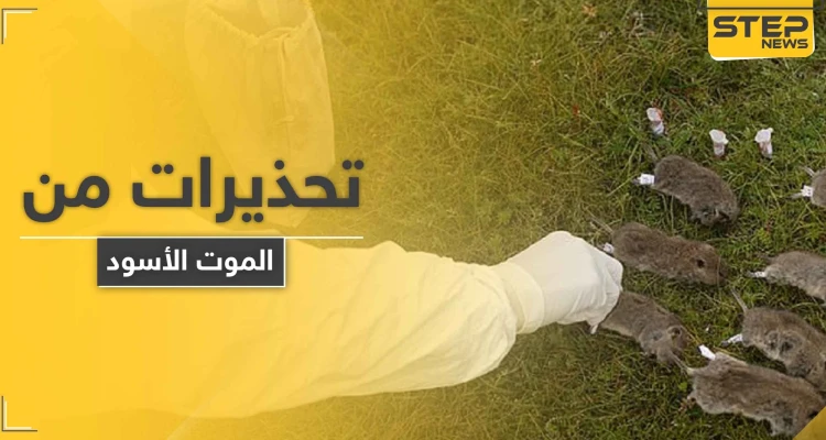طاعون دبلي.. الصين تطلق تحذيراً من المستوى 3 حول جائحة جديدة قد تجتاج العالم