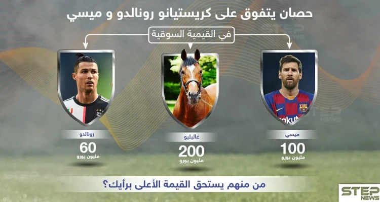 حصان يتفوق على كريستيانو رونالدو وميسي في القيمة السوقية .. من منهم يستحق القيمة الأعلى برأيك ؟: أخبار