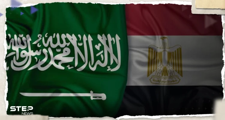 صحيفة: السعودية تحذر من منتج غذائي مصري يحتوي على حشرات