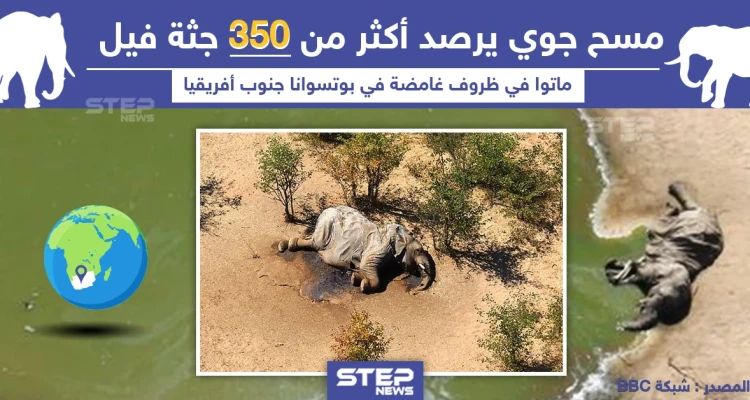 موت 350 فيل في ظروف غامضة بجنوب أفريقيا