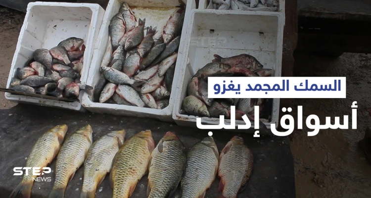 الأسماك المجمدة تغزو أسواق محافظة إدلب تماشياً مع حالة الفقر في المنطقة