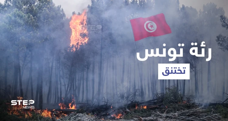 بالفيديو|| رئة تونس تختنق.. إعصار ناري يثير الفزع والسلطات تكابد منعاً لتكرار كارثة الجزائر (صور)