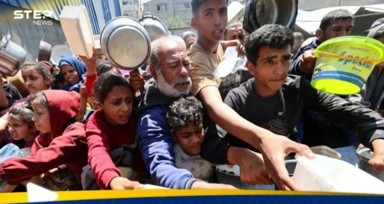 نائبة جمهورية توجه نداء مطولا بشأن غزة