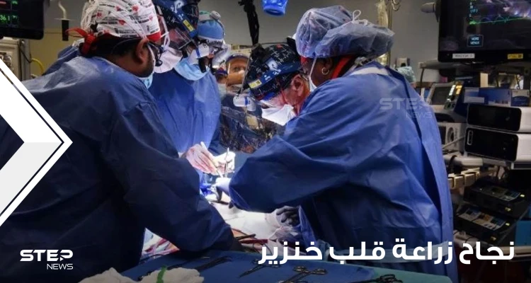 بسابقة علمية في زراعة الأعضاء.. جراحون ينجحون بزراعة قلب خنزير لإنسان