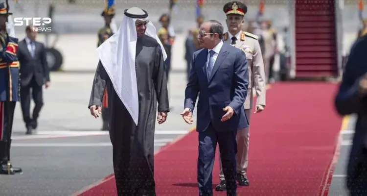 لقاء محمد بن زايد والسيسي.. تنسيق إقليمي وتوسيع التعاون: أخبار