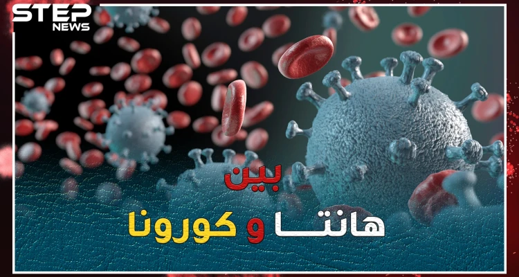 هل أنت خائف من كورونا!؟..استعد لتتعرف على فيروس هانتا القاتل المتجدد!