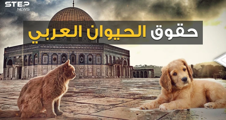 كلاب وحيوانات بملايين الدولارات، وحملات عربية لوقف قتلها.. من أولى البشر أم الحيوان!