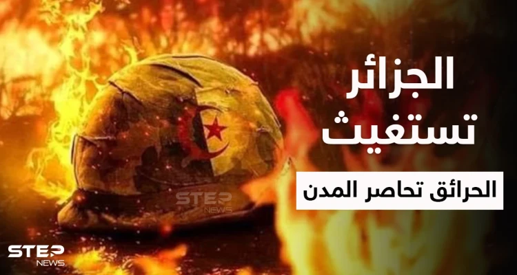 بالفيديو والصور|| حرائق الجزائر المدمرة تستفز فرنسا لتقدم المساعدة والشعب المحاصر بالنيران يستغيث