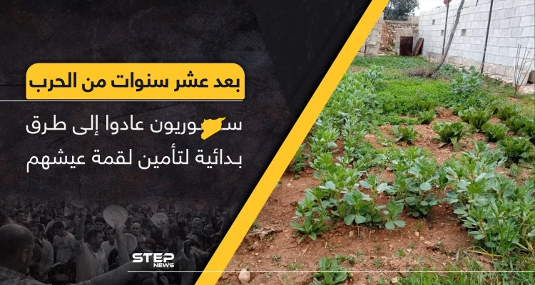 بعد عشر سنوات من الحرب.. سوريون عادوا إلى طرق بدائية لتأمين لقمة عيشهم