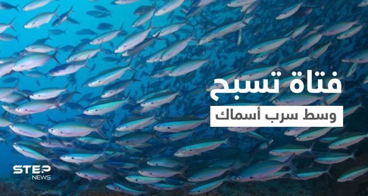 بالفيديو|| بملابس السباحة فتاة تسبح وسط سرب من الأسماك في أعماق البحر وتصبح واحدة منها