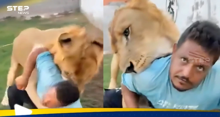 في مشهد صادم.. ليبي يطلق أسده على عامل مصري (فيديو)