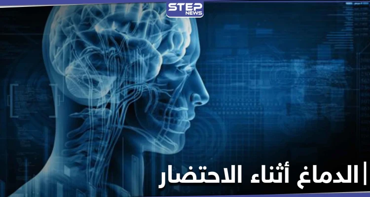 دراسة تكشف ماذا يحصل داخل الدماغ أثناء الاحتضار في لحظات قبل الموت