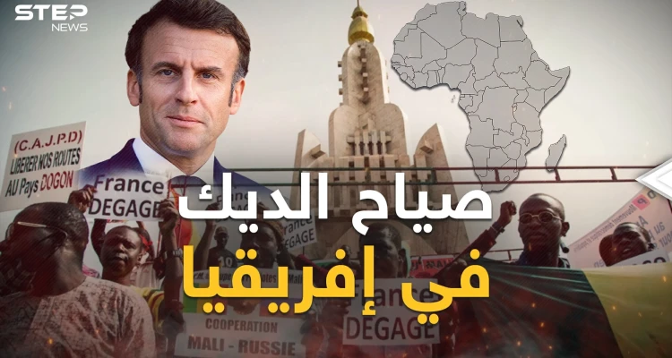 الدب الروسي أجهز على الديك الفرنسي في إفريقيا وأهلا بكم في إفريقيا جديدة
