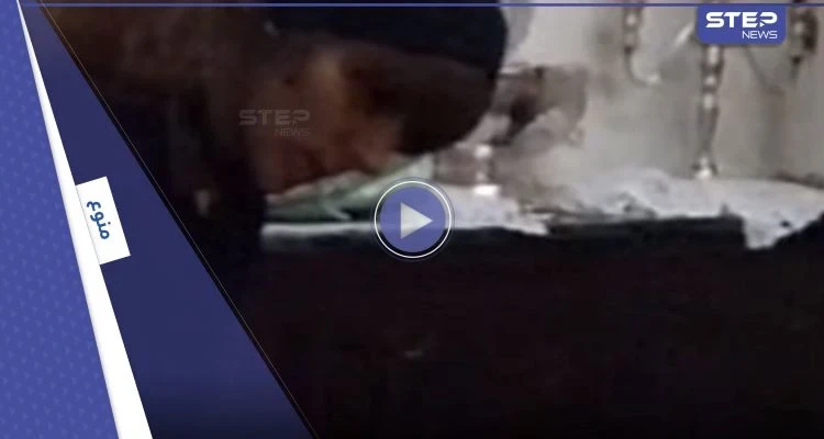 شاهد|| في عيد ميلادها ال87.. فيديو نادر لـ فيروز تقطع قالب الحلوى