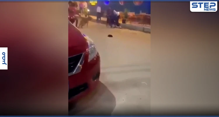بالفيديو|| شباب يرهبون فتيات بالكلاب وسط شوارع بنها المصرية ويضحكون بعد حالة إغماء بينهن
