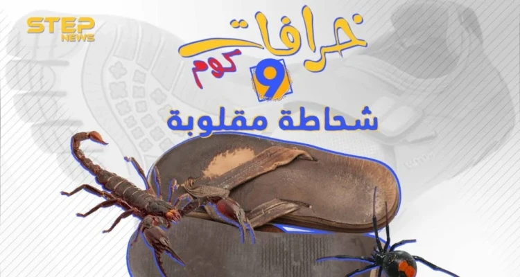الحذاء المقلوب خرافة تتوارثها الأجيال.. تعرف على أصلها معنا #خرافات_كوم